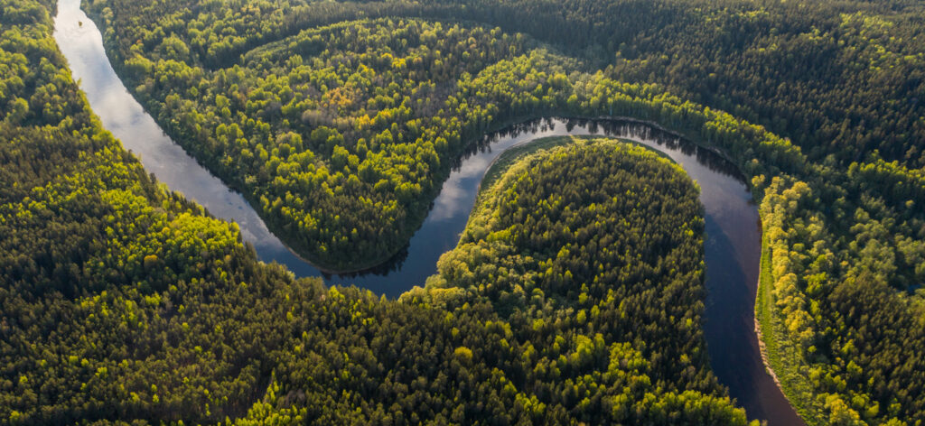 River through Amazon forest