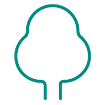 Forest protection in high deforestation area icon