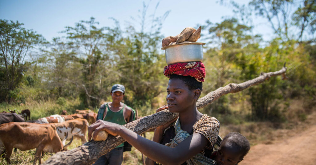 Women carrying food