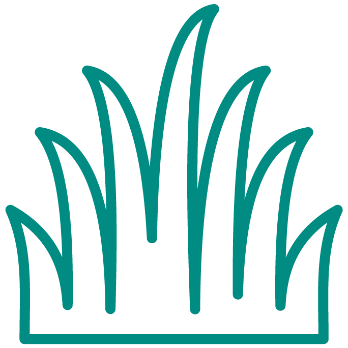 Preservation of  cultural heritage icon